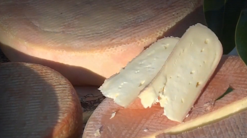 Tranches de fromage Munster à pâte claire et croûte lavée posées sur une surface en bois
